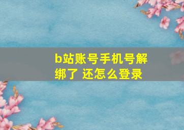 b站账号手机号解绑了 还怎么登录